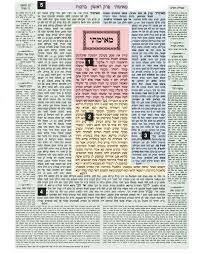 Talmud 2